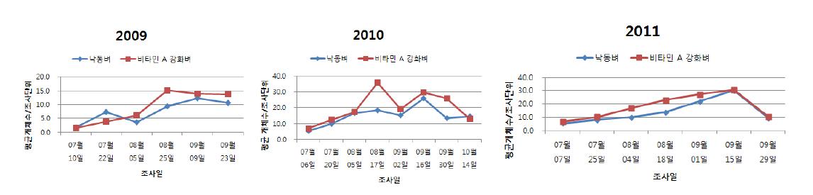 2009-2011년 낙동벼와 비타민 A 강화벼의 거미류 밀도변화 추이