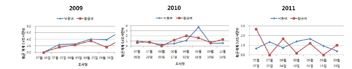 2009-2011년 낙동벼와 비타민 A 강화벼의 기생벌류 밀도변화 추이
