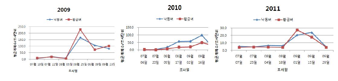 2009-2011년 낙동벼와 비타민 A 강화벼의 멸구류 밀도변화 추이