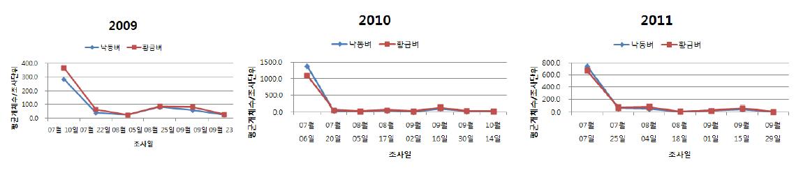 2009-2011년 낙동벼와 비타민 A 강화벼의 깔따구 밀도변화 추이