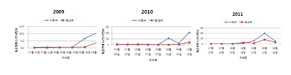 2009-2011년 낙동벼와 비타민 A 강화벼의 톡토기 밀도추이