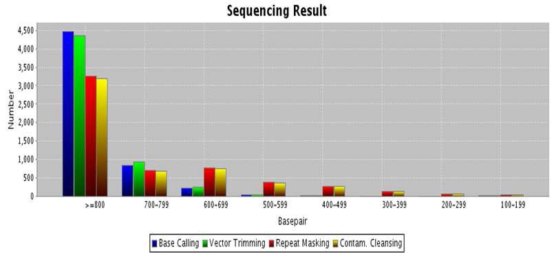 사과 갈색무늬병균 EST를 통해 얻어진 주요 유전자의 분포. singletons=1,858; contig, 818.