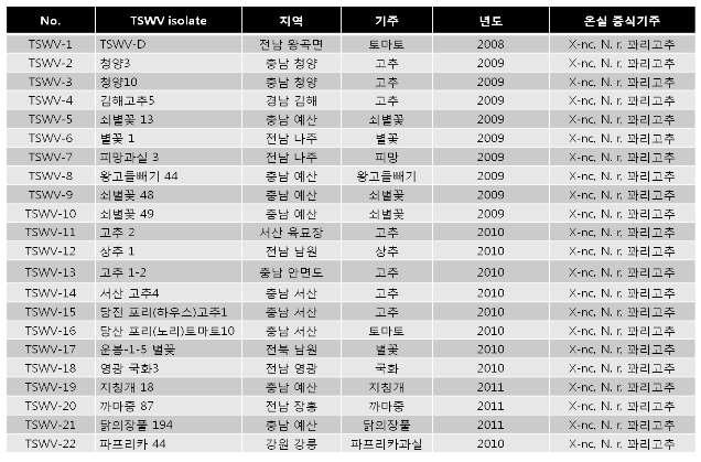 기주 및 지역별 토마토반점위조바이러스 순수 분리주