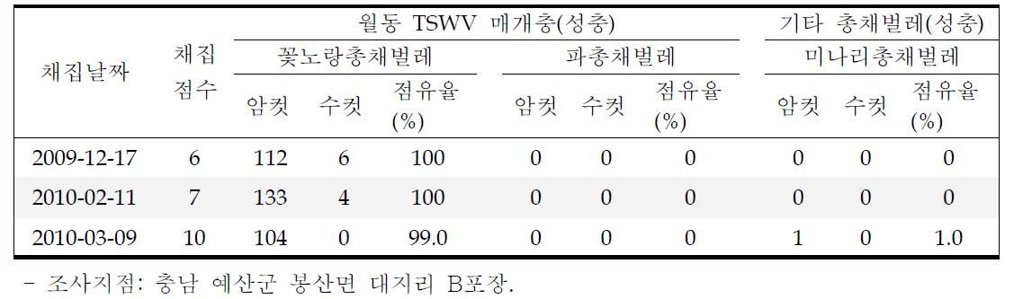 겨울철 무가온 시설에서 월동하는 총채벌레 종류