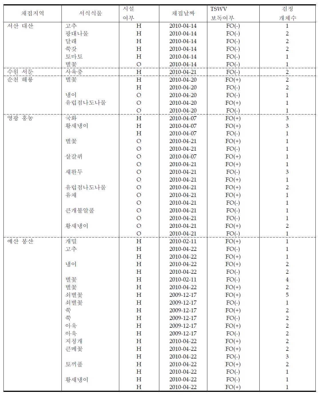 TSWV 발병지역에서 채집한 꽃노랑총채벌레 유전분석 시료내역