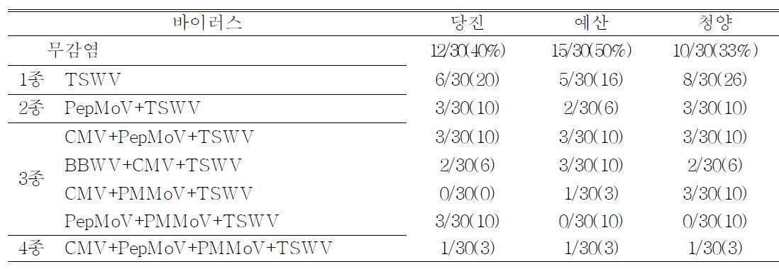 충남지역 고추의 단일 또는 복합 바이러스병 발생 양상