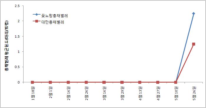 전년고추 발병포장에서 배추 후작기간 총채벌레 밀도변화(나주)