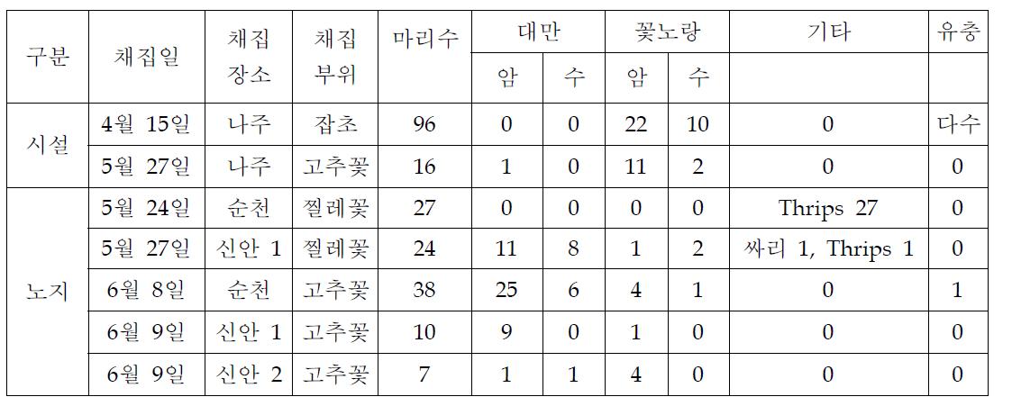 발병상습지에서 시기별 총채벌레 종류