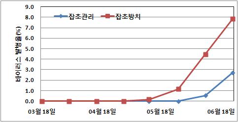 TSWV 발병상습지에서 잡초관리방법에 따른 바이러스 발생양상