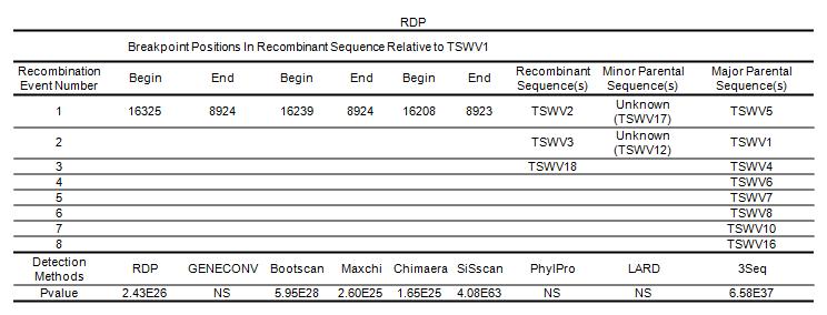 RDP프로그램을 이용한 13개 국내 TSWV분리주들의 재조합 비율 분석 결과