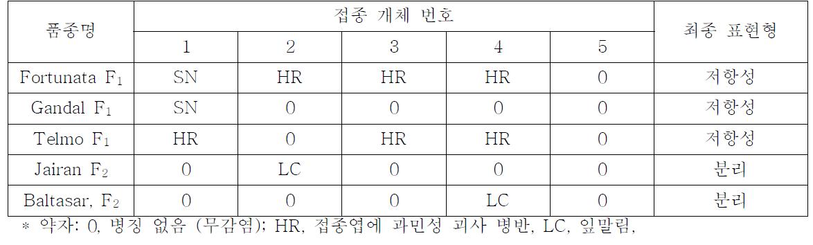 Tsw 저항성 유전자가 도입된 상용 파프리카와 자식후대의 TSWV 저항성 반응