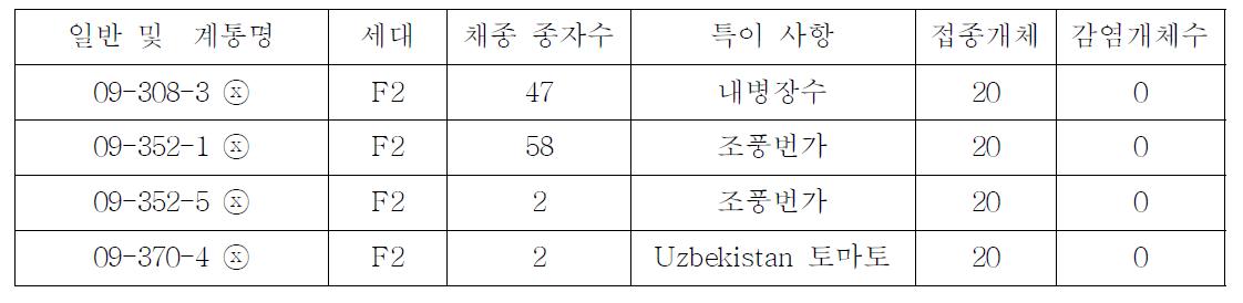 선발 토마토 자식 후대의 TSWV 저항성 반응