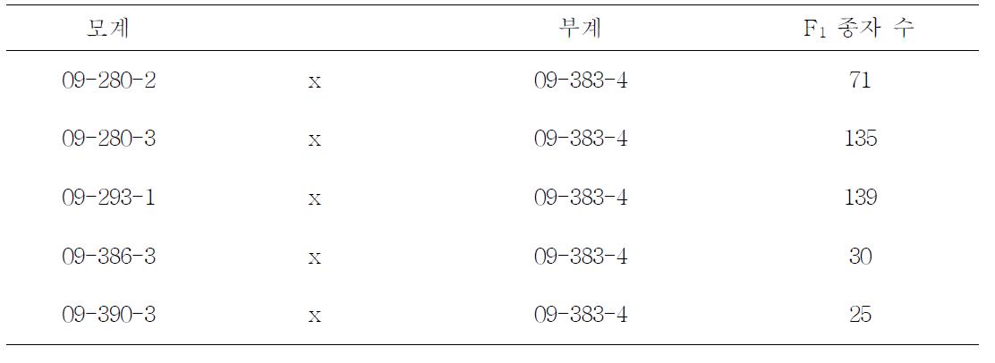 TSWV 저항성 유전분석용 가지 교배조합 및 F1 종자