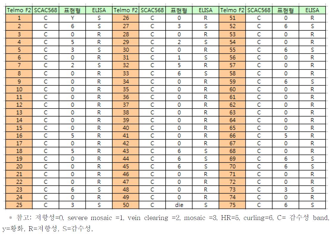 TSWV 저항성 파프리카 Telmo 후대에서 SCAC568 분자표지의 유전형 분리 및 TSWV 저항성 표현형