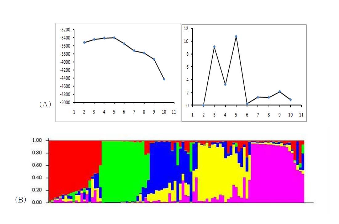 (A) 집단 수(K)에 따른 Log-likelihood 및 집단 수 증가에 따른 ΔK 변이(B) Structure 프로그램을 이용한 K=5 의 집단 구조 분석