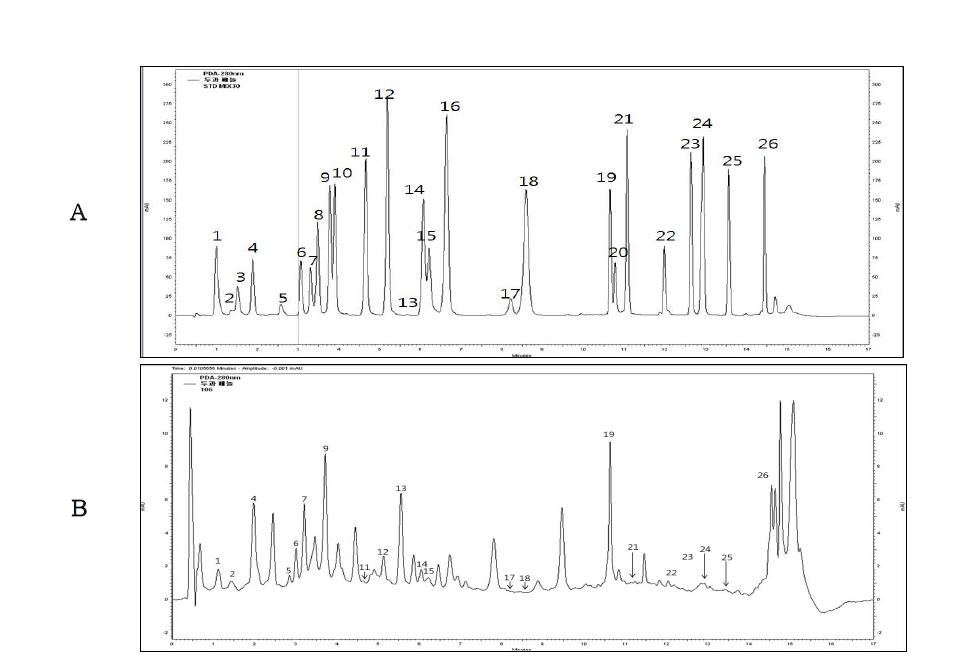 Phenolic compounds 크로마토그램