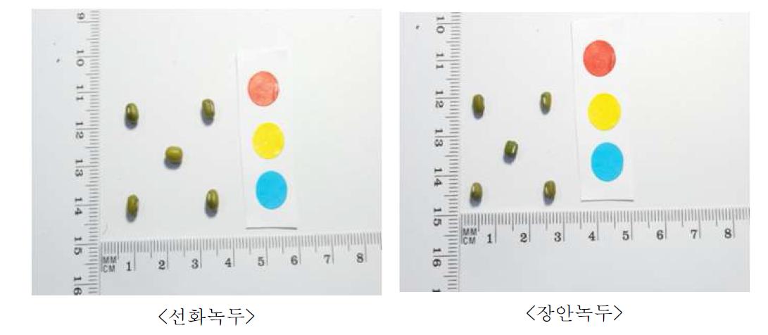 염기서열분석을 위한 시료 녹두 2품종의 종자사진