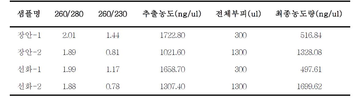 녹두 2품종의 total RNA 추출 결과