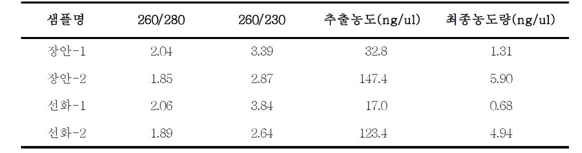 녹두 2품종의 mRNA 분리 결과