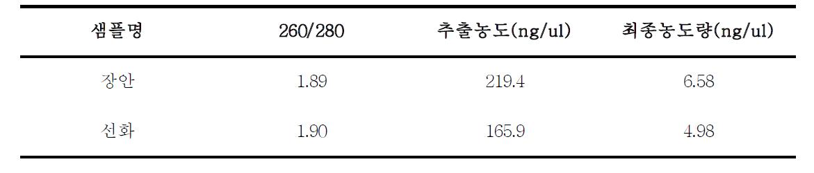 녹두 2품종의 cDNA 합성 결과