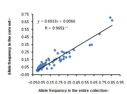 15개 AFLP 조합에서 얻어진 705개 집단과 222개 핵심집단에서의 Fragment 크기 빈도 분포 비교