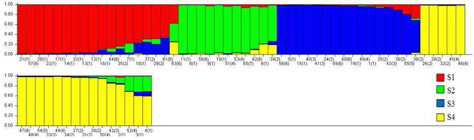 15개 SSR 마커에 의한 65개 녹두 수집자원의 model based clustering