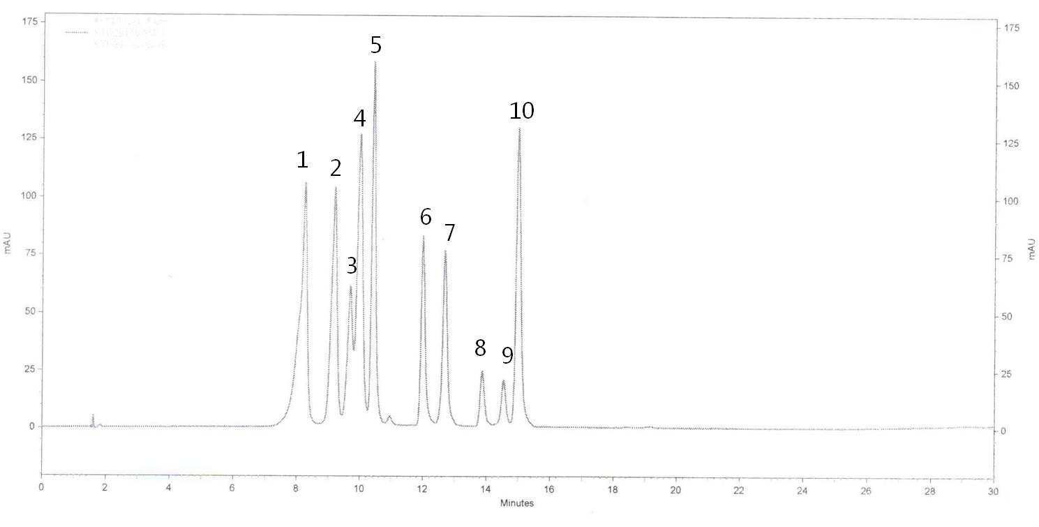 Anthocyanin 스탠다드 물질의 HPLC 크로마토그램