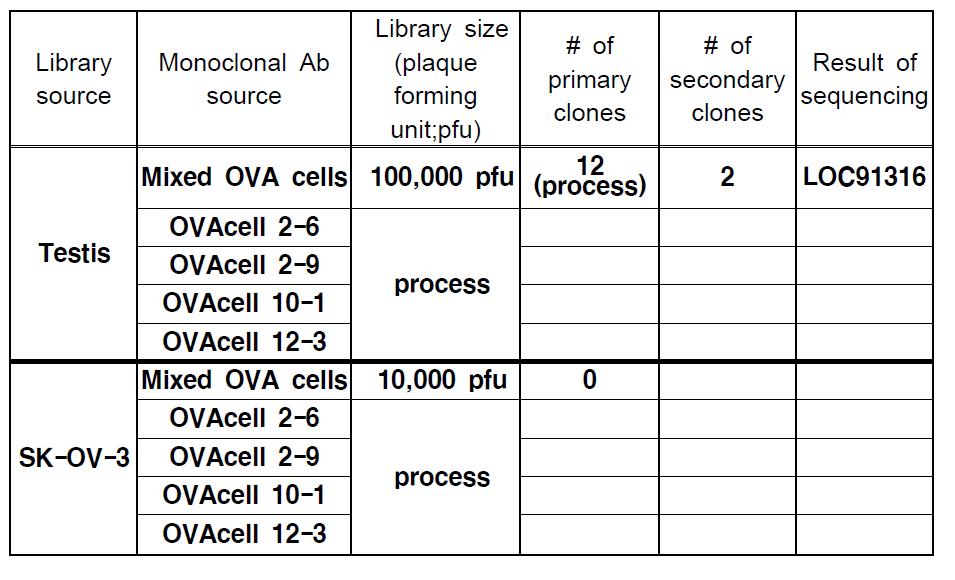 Ovarian cancer cell 유래의 단 클론 항체의 SEREX 결과