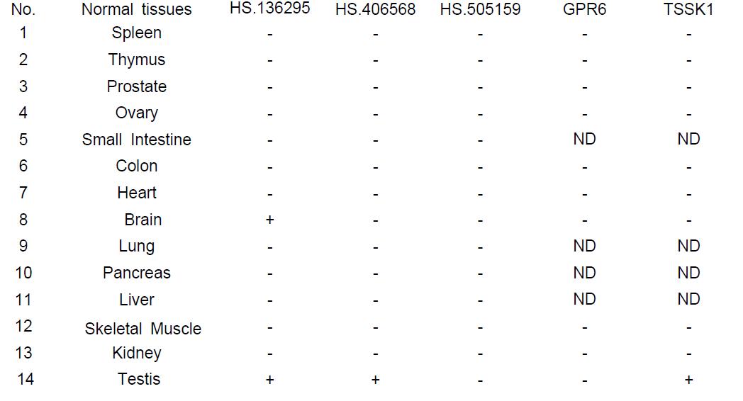 Conventional RT-PCR analysis of antigens in normal tissues