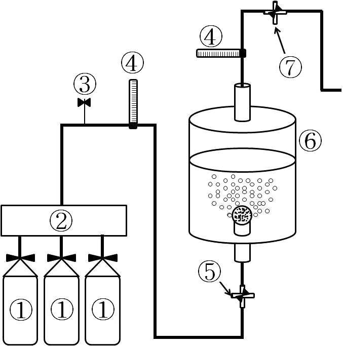 Schematic diagram of the solubility measurement device