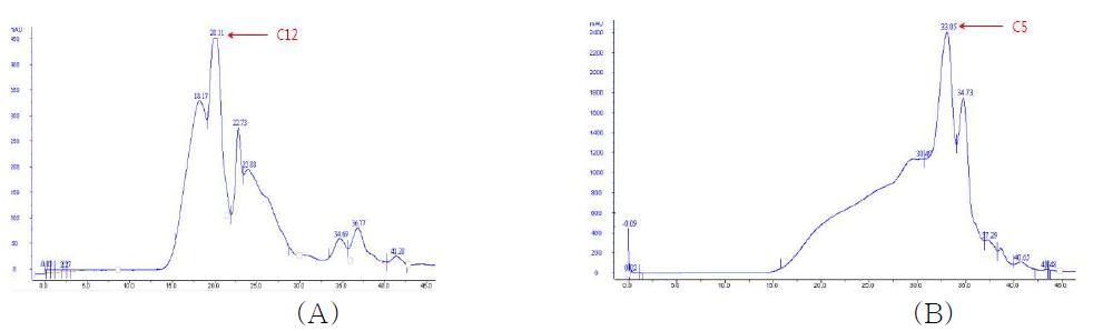 Size exclusion chromatograms of the rice protein hydrolysate