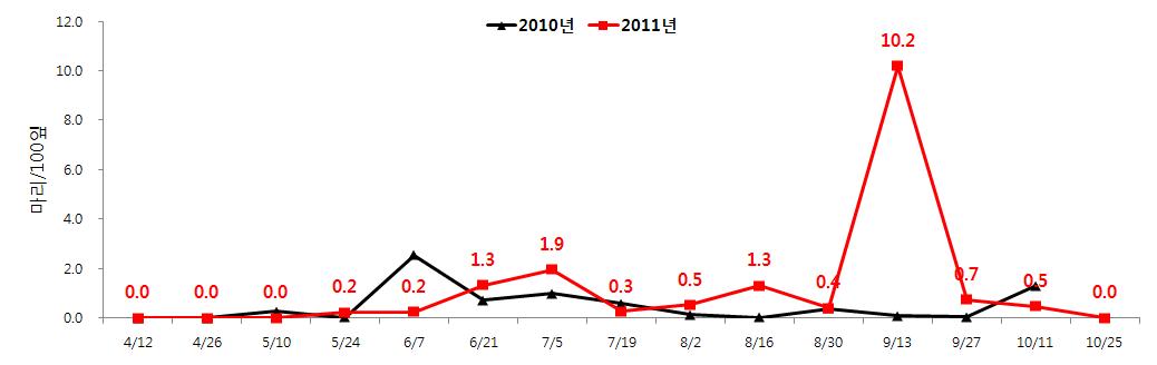 거창지역 2010~2011년 점박이응애 조사일별 발생현황