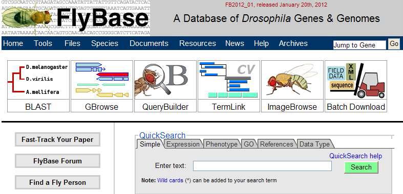 초파리 연구정보 데이터베이스