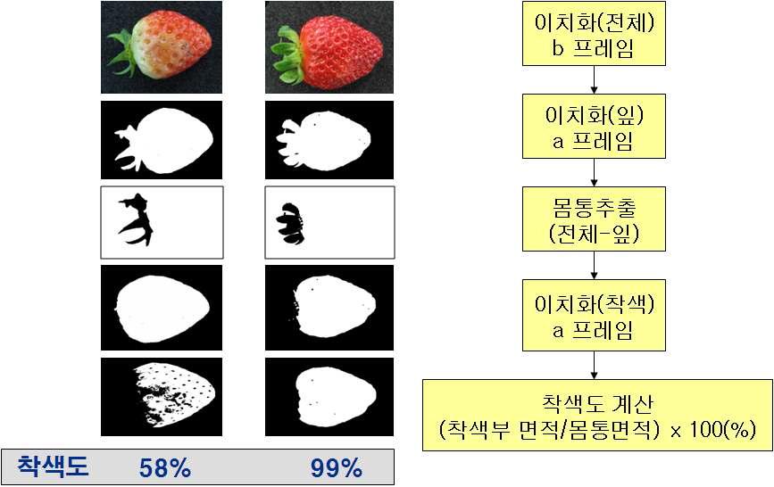 영상처리에 의한 외관품질판정 알고리즘