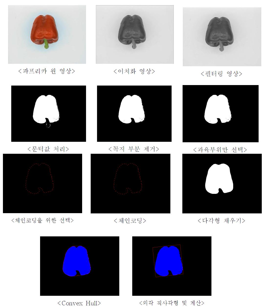 파프리카 외관품질 영상처리