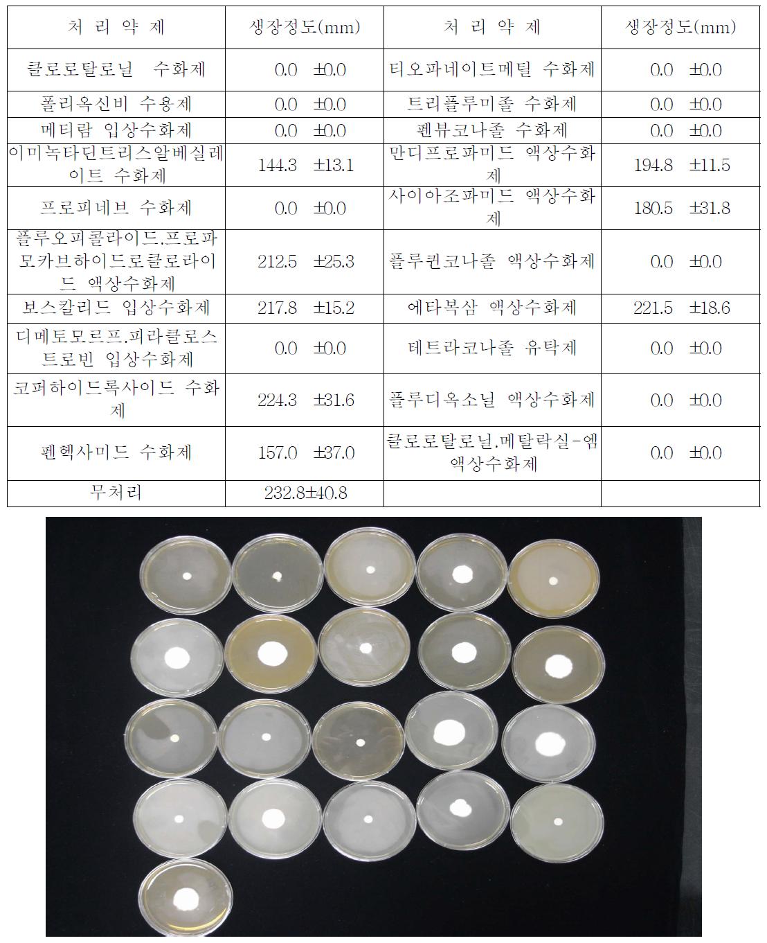 배지상에서 화학살균제의 B. bassiana 생장 억제 효과