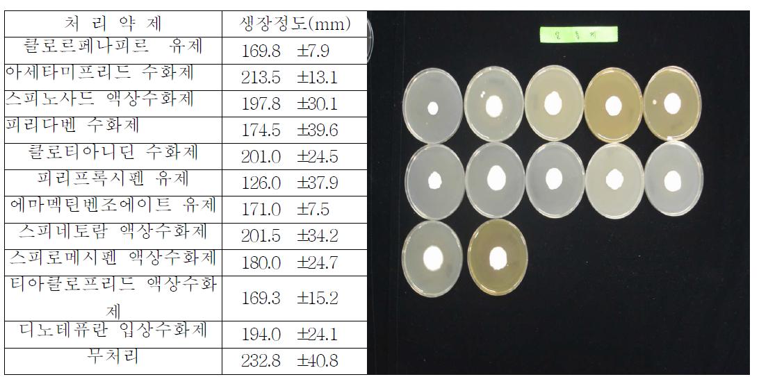 배지상에서 화학 살충제의 B. bassiana 생장 억제 효과