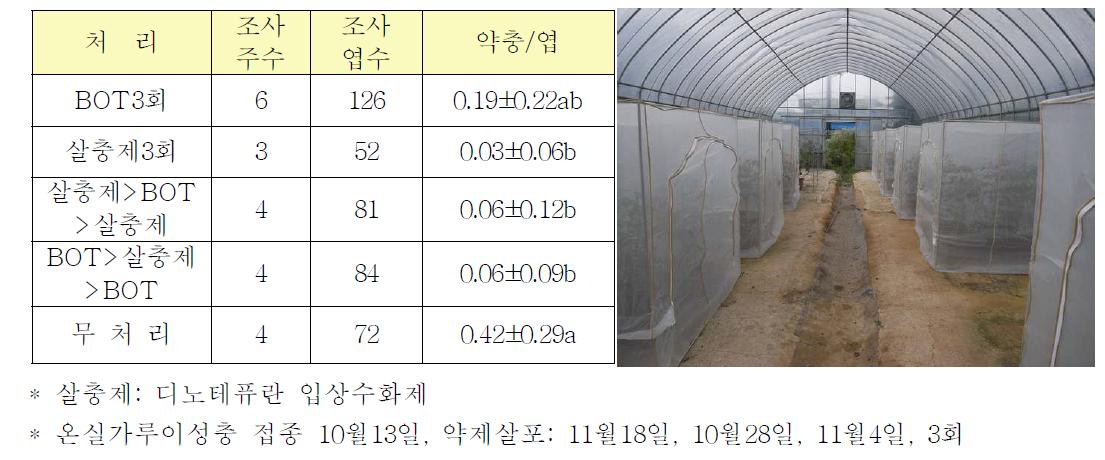 온실가루이에 대한 미생물살충제(BOT)와 화학살충제의 교호처리 방제효과