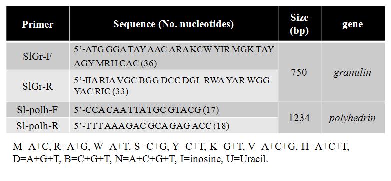 granulin과 polyhedrin 유전자를 증폭하기 위한 프라이머.