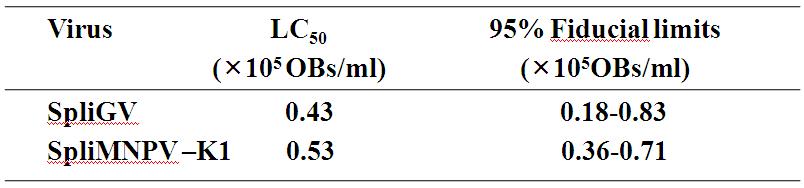 담배거세미나방에 대한 SpliGV와 SplilNPV-K1의 반추치사농도