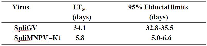 담배거세미나방에 대한 SpliGV와 SplilNPV-K1의 반추치사시간