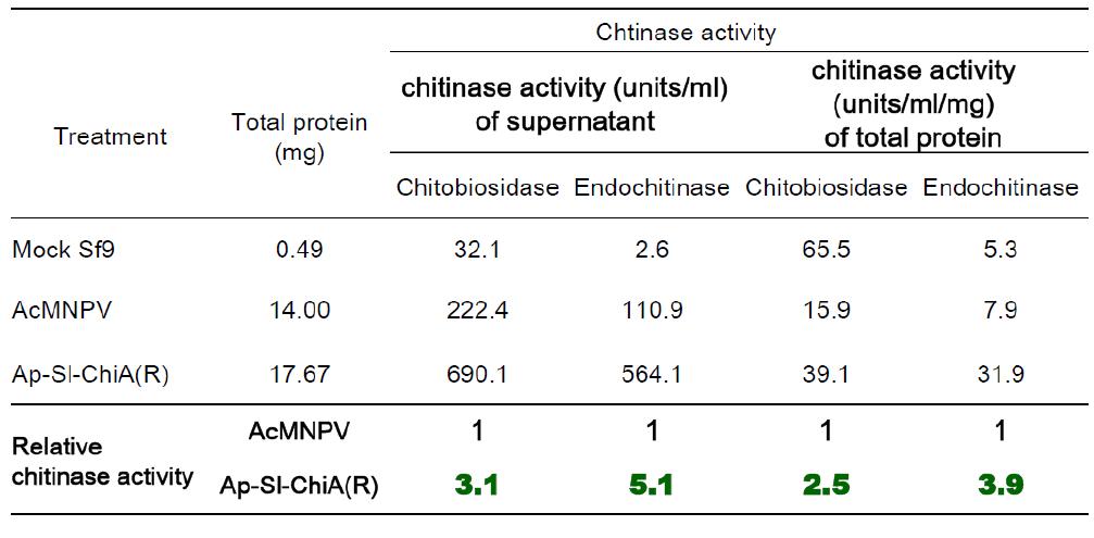 Ap-Sl-ChiA(R)과 wt AcMNPV의 chitinase 생산량 비교