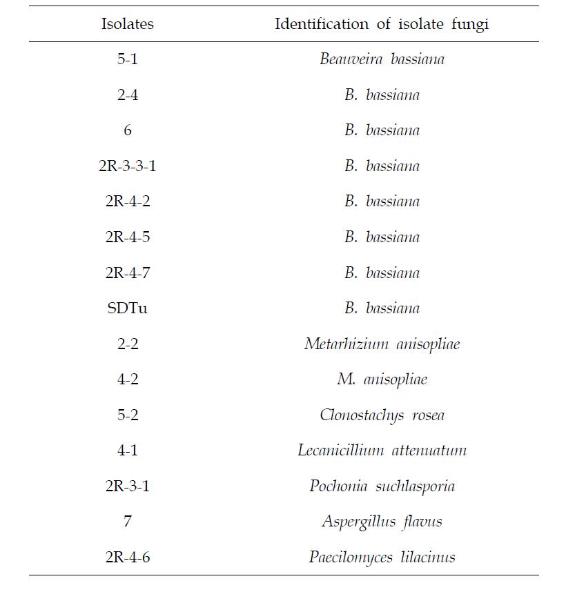 점박이응애 사충에서 분리한 병원성 곰팡이의 동정 결과