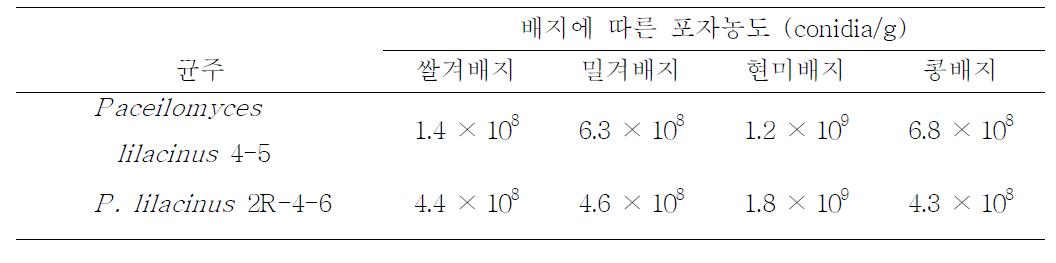 각 반고체 배지에 따른 균주들의 포자 생산량