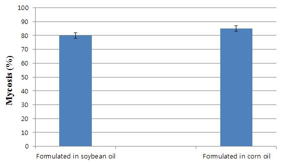 Formulated 처리구의 복숭아혹진딧물 사충으로부터 나온 진균병 발병율