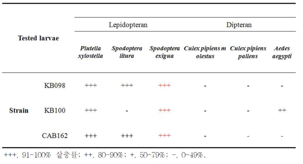 선발 Bt 균주들의 나비목과 파리목 해충에 대한 병원성.