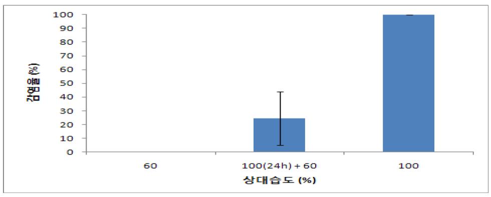 습실 처리에 따른 L. lecanii Btab01의 효과 감염효과