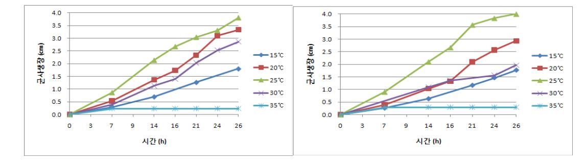 미생물살충제(B. bassiana)의 온도별 균사 생장 (좌:BOT, 우:CRE)