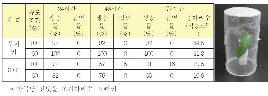 진딧물에 대한 미생물살충제(BOT)의 살충효과