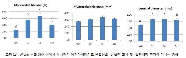 Wistar 종과 SHR 종에서 무시래기 에틸아세테이트 분획물의 심혈관 괴사 및 혈관내막 직경에 미치는 영향